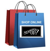 shop online bags